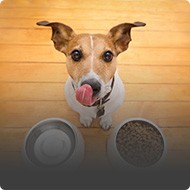Pet Food Packaging Pet Food Packaging