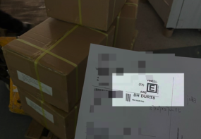 Banana Flour Ziplock Doypack to Philippines Banana Flour Ziplock Doypack to Philippines