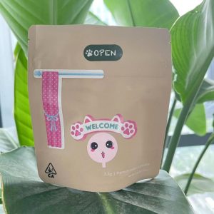 3.5g Cannabis Flower Stand Up Bag back