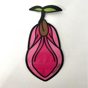 Cannabis 3 side sealed bags with zipper