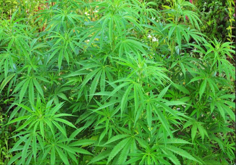 The perfect solution to the storage