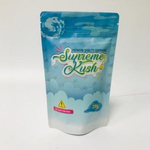 matte gradient blue stand-up pouch