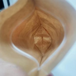 pouches with zipper