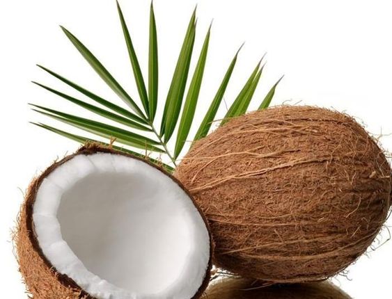 coconut