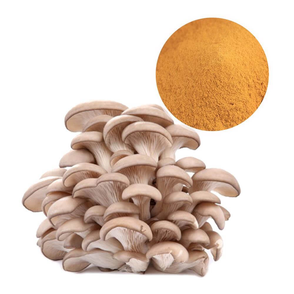 mushroom powder