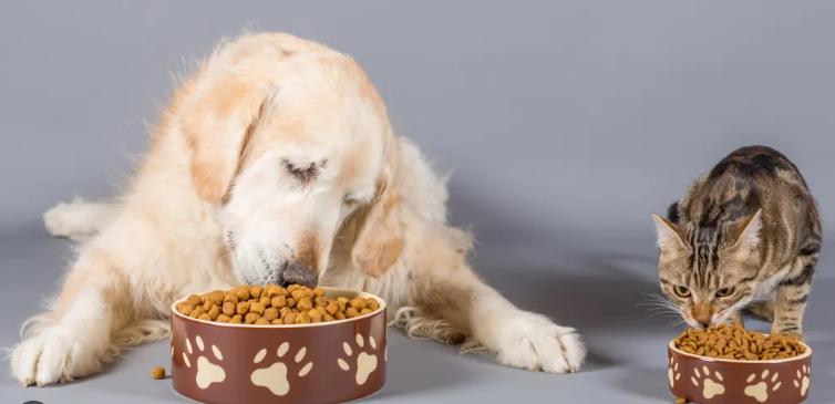 200g Pet Foods Packaging Bags