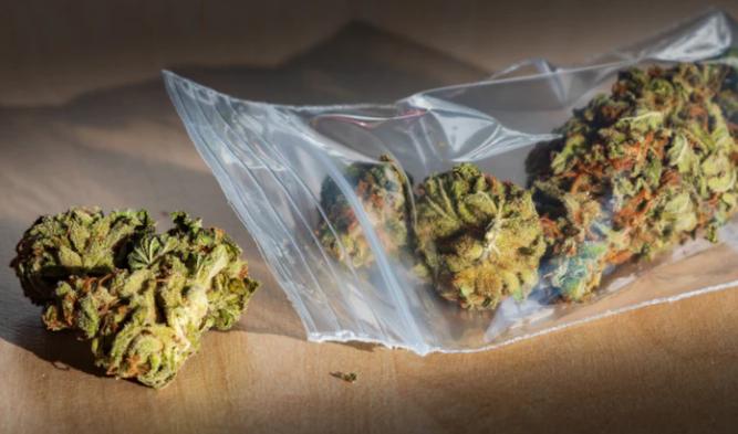 Looking for mylar dispensary exit bags