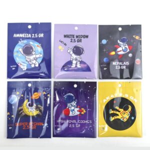 Back Seal Pillow Bags