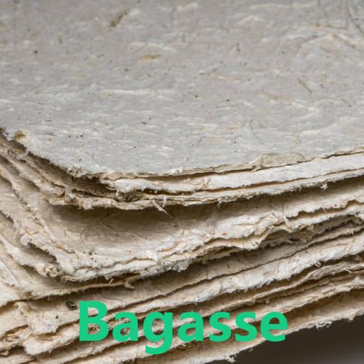 Bagasse